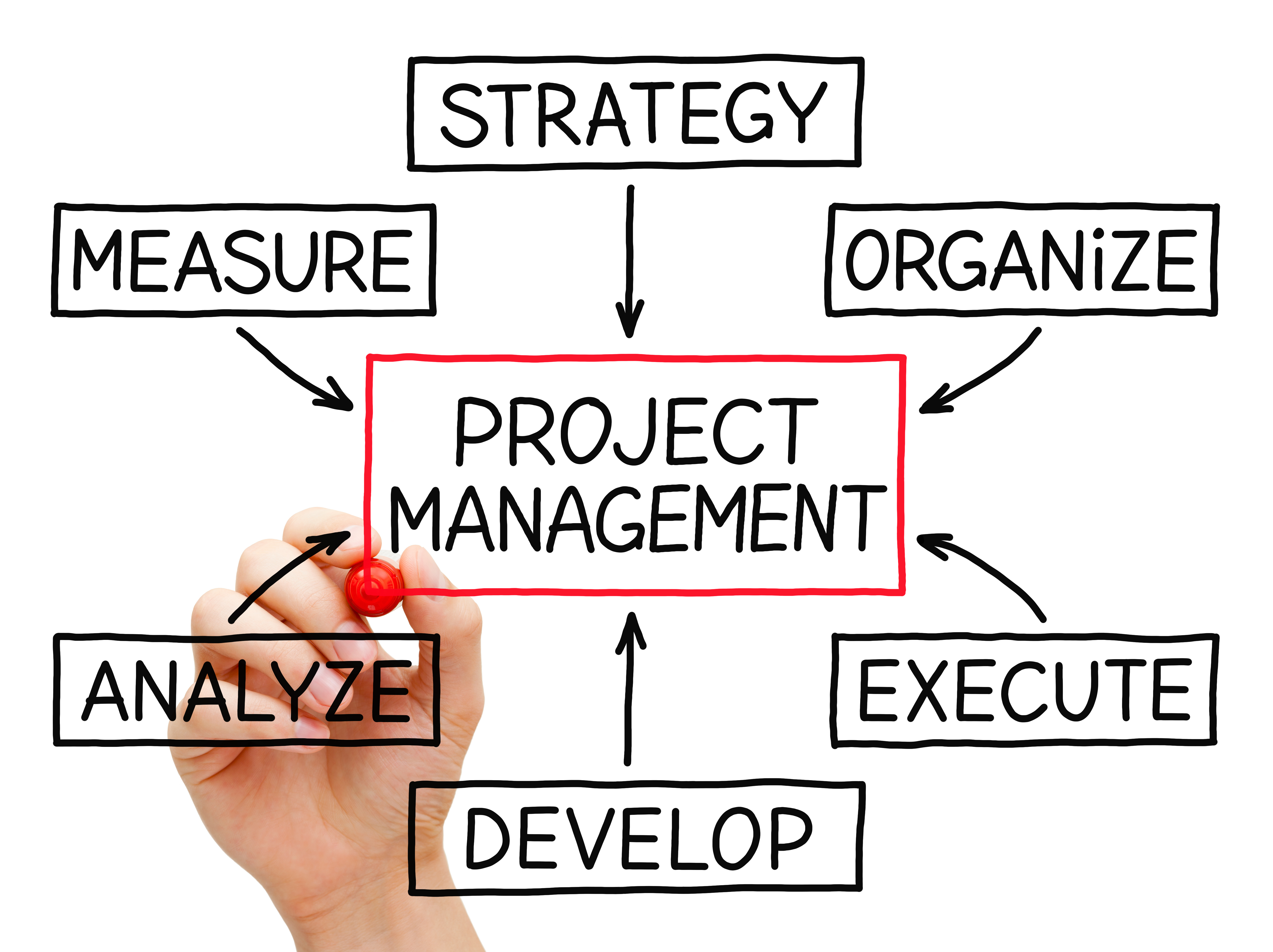 Project management life cycle diagram